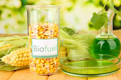 Rew biofuel availability
